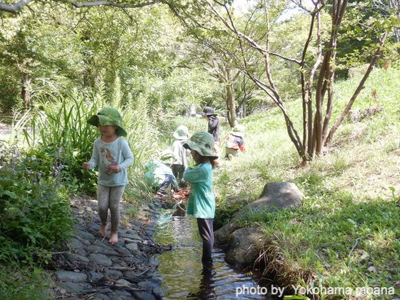 ウェブメディア「ほいくる」に掲載されました