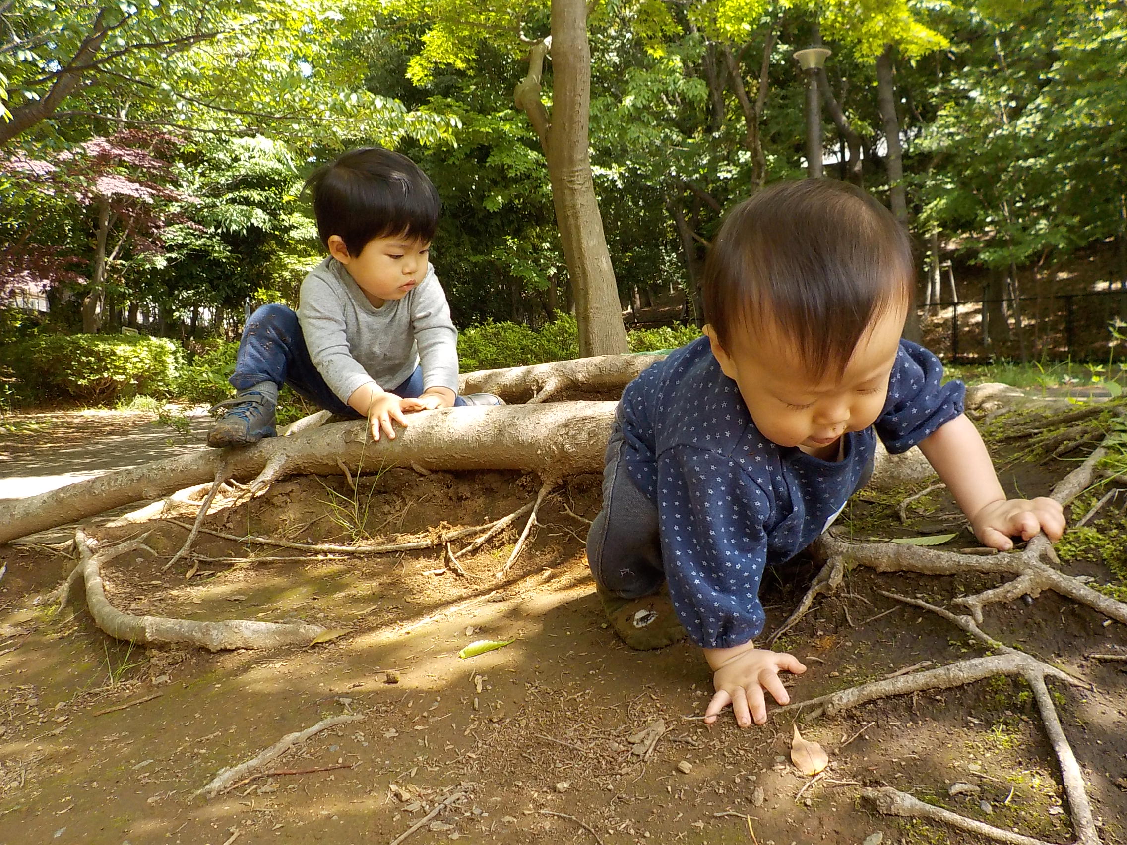 【横浜エリア】7/8(木)～7/14(水) もあなキッズ自然楽校 活動写真展を開催します